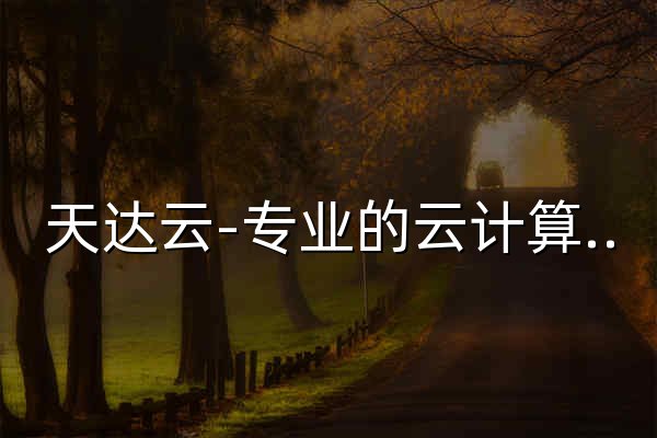 天达云-专业的云计算服务平台-天达云(www.tdyun.com) - 官网预览