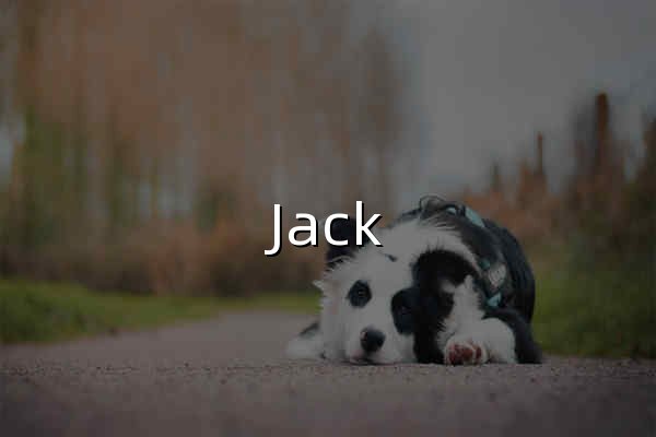 Jack Cui | 关注人工智能及互联网的个人网站 - 官网预览