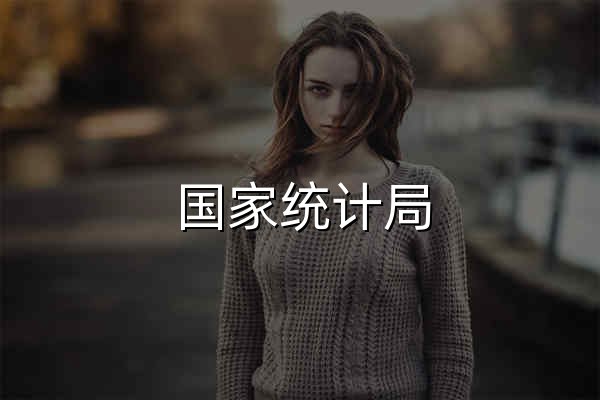 国家统计局 - 官网预览