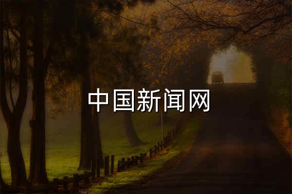 中国新闻网_梳理天下新闻 - 官网预览