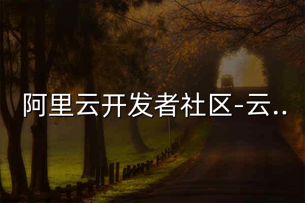 阿里云开发者社区-云计算社区-阿里云 - 官网预览