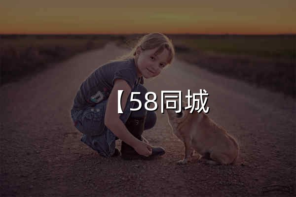 【58同城 58.com】其他分类信息 - 本地 免费 高效 - 官网预览
