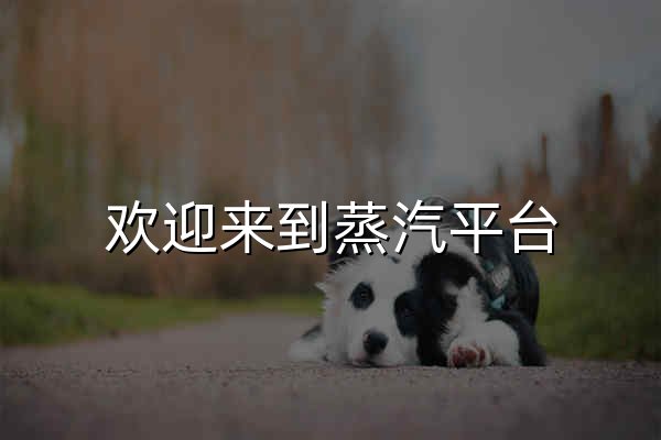 欢迎来到蒸汽平台 - 官网预览
