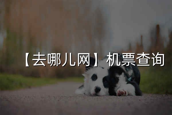 【去哪儿网】机票查询,特价机票,打折飞机票-去哪儿网Qunar.com - 官网预览