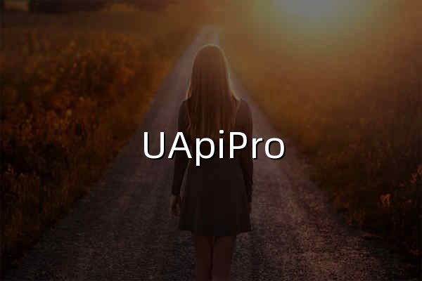 UApiPro - 免费API服务平台 | 100+公共API接口 | UAPI - 官网预览