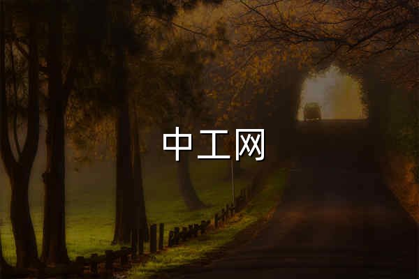 中工网_亿万职工的网上家园 - 官网预览