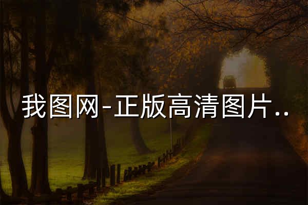 我图网-正版高清图片素材网站,免费平面,品牌包装,背景墙,装饰画素材下载 - 官网预览
