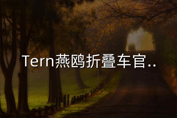 Tern燕鸥折叠车官方网站 - 官网预览