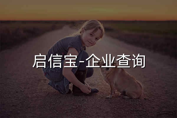 启信宝-企业查询_企业信用信息平台 - 官网预览