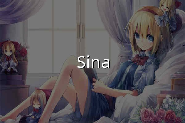 Sina Visitor System - 官网预览