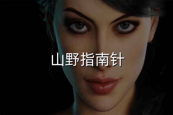 山野指南针 - 专业户外活动信息平台 | 徒步、登山、露营活动聚合 - 官网预览