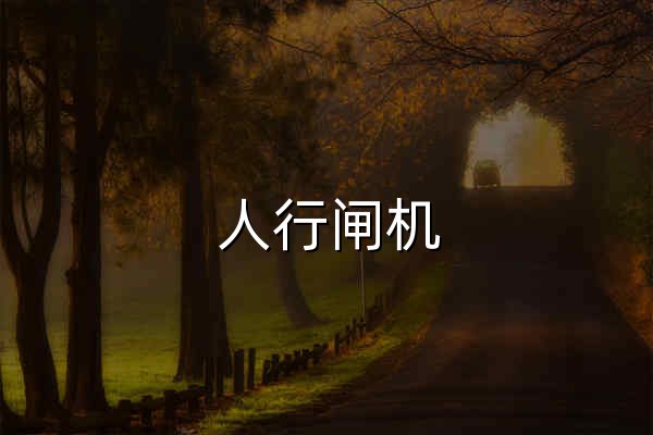 人行闸机_车辆道闸_摆闸_翼闸通道闸机生产厂家-贤松智能 - 官网预览
