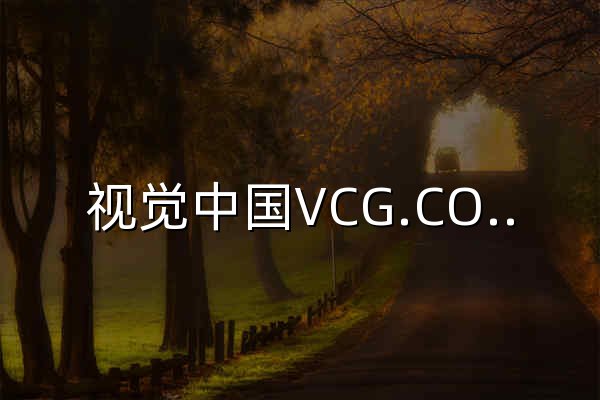视觉中国VCG.COM-正版商用图片,视频,音乐,字体,插画_素材库 - 官网预览
