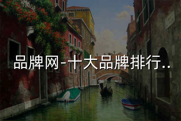 品牌网-十大品牌排行榜-品牌大数据服务平台 - 官网预览