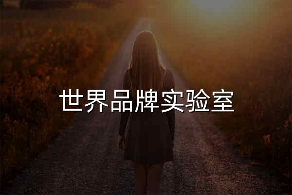 世界品牌实验室|品牌价值|品牌定位|品牌管理 - 官网预览