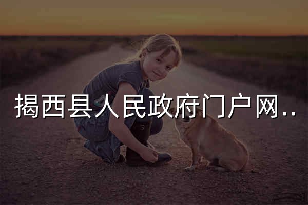 揭西县人民政府门户网站 - 官网预览