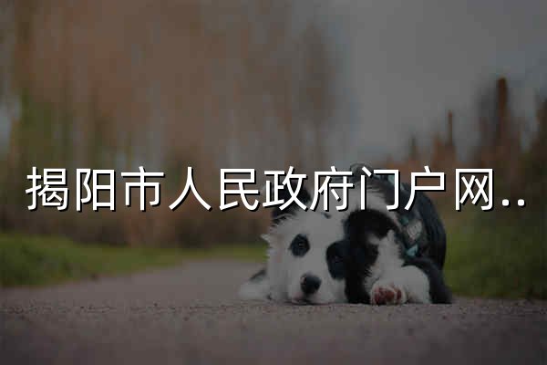 揭阳市人民政府门户网站 - 官网预览