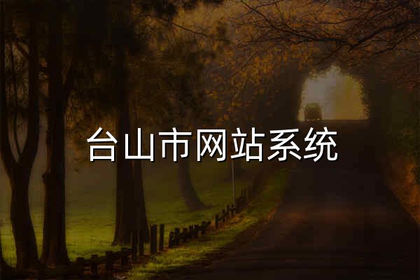 台山市网站系统 - 官网预览