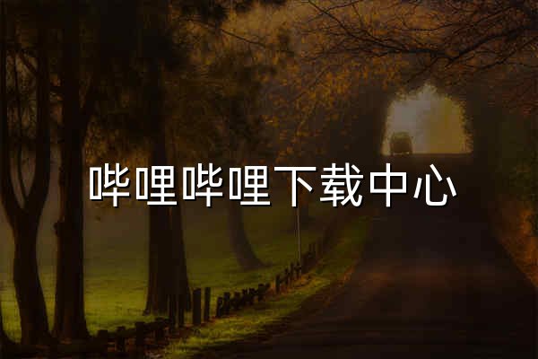 哔哩哔哩下载中心 - 官网预览