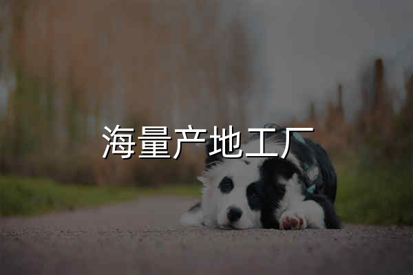 海量产地工厂，就上1688找工厂 - 官网预览