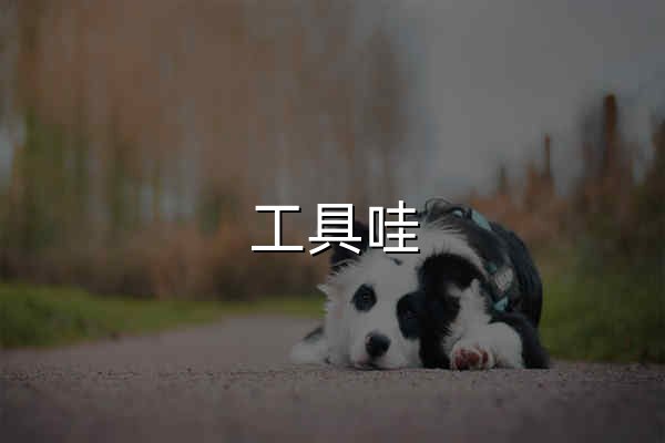 工具哇 - 在线工具大全 - 官网预览