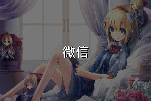 微信 Windows 版 - 官网预览