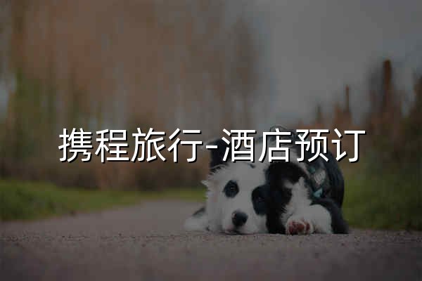携程旅行-酒店预订,机票预订查询,旅游度假,商旅管理-携程无线官网 - 官网预览
