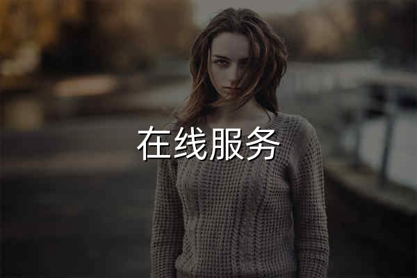 在线服务 - 官网预览