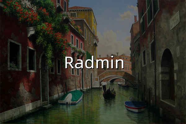 Radmin LAN – 下载免费 LAN 软件 - 官网预览