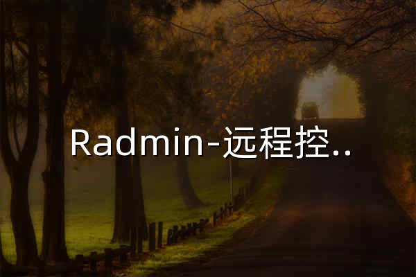 Radmin-远程控制软件中文网站 | Radmin官方下载 - 官网预览