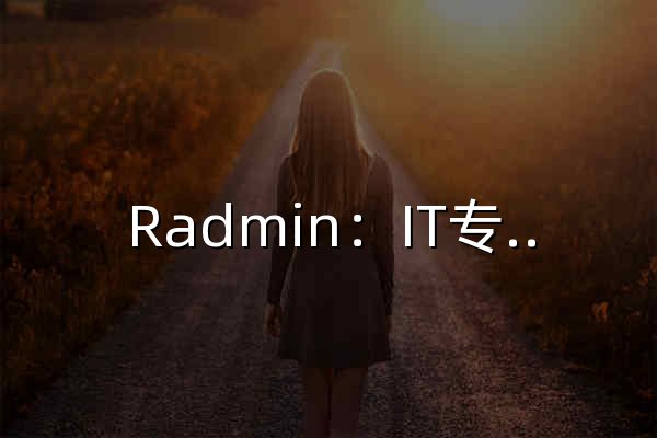 Radmin：IT专业人士的可靠远程桌面软件 - 官网预览