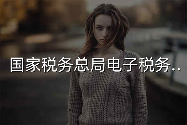 国家税务总局电子税务局 - 官网预览