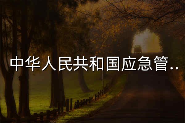 中华人民共和国应急管理部 - 官网预览