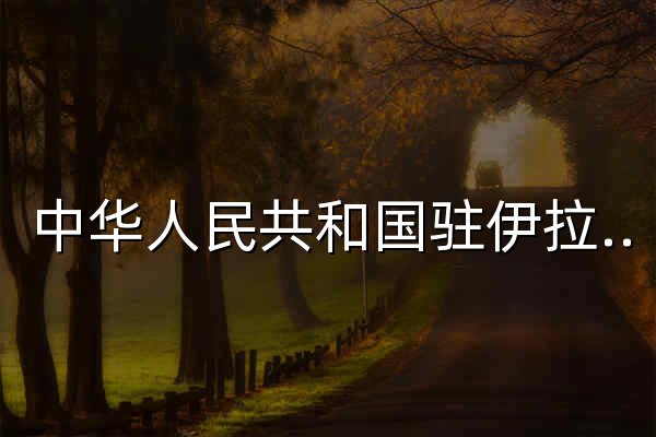 中华人民共和国驻伊拉克共和国大使馆 - 官网预览