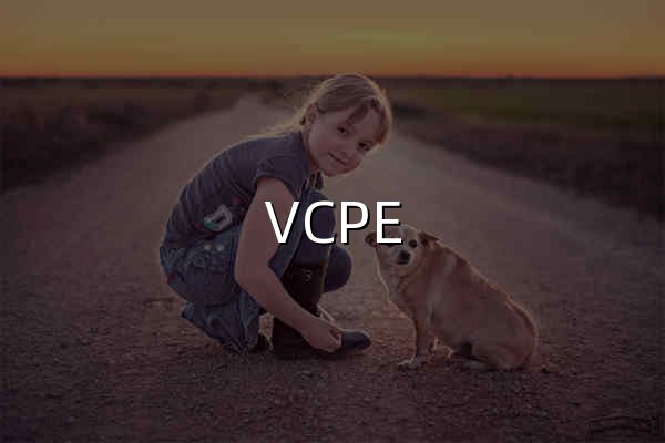 VCPE_投资界：实时报道VCPE资讯 - 官网预览