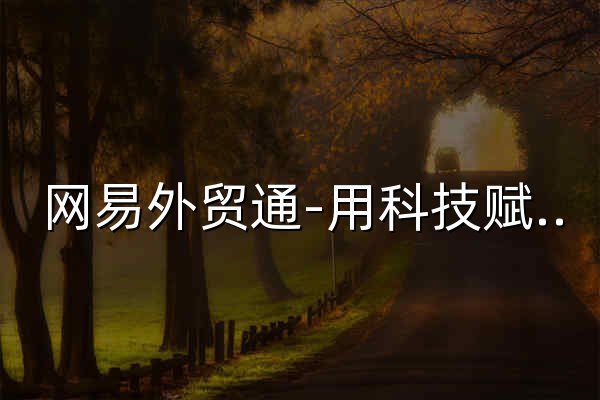 网易外贸通-用科技赋能外贸企业 - 官网预览