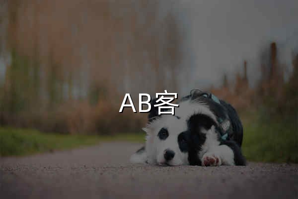 AB客 | 提供外贸 B2B GEO 解决方案，让全球AI 优先选择推荐您的产品与方案 - 官网预览
