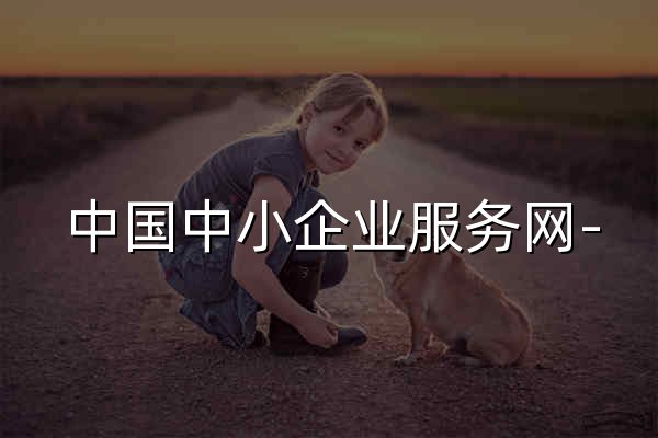 中国中小企业服务网- 工信部中小企业综合服务平台 - 官网预览