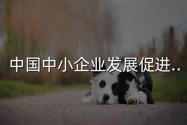 中国中小企业发展促进中心(工业和信息化部中小企业发展促进中心) - 官网预览
