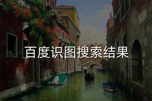 百度识图搜索结果 - 官网预览