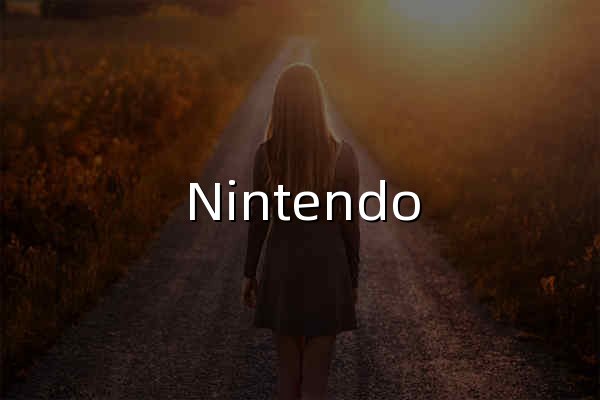 Nintendo Switch京东自营旗舰店 - 京东 - 官网预览