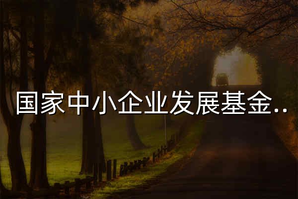 国家中小企业发展基金有限公司 - 官网预览