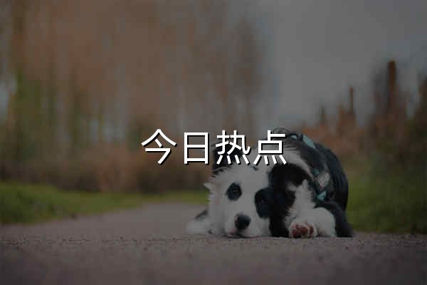 今日热点 - 聚合每日热门、有趣资讯 - 官网预览
