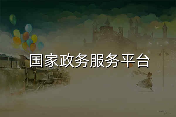 国家政务服务平台 - 官网预览