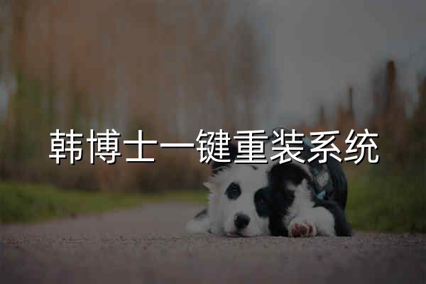 韩博士一键重装系统_电脑重装系统_韩博士装机大师官网 - 官网预览