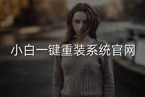 小白一键重装系统官网_让电脑小白也会用的win11/win10/win7一键重装系统软件! - 官网预览