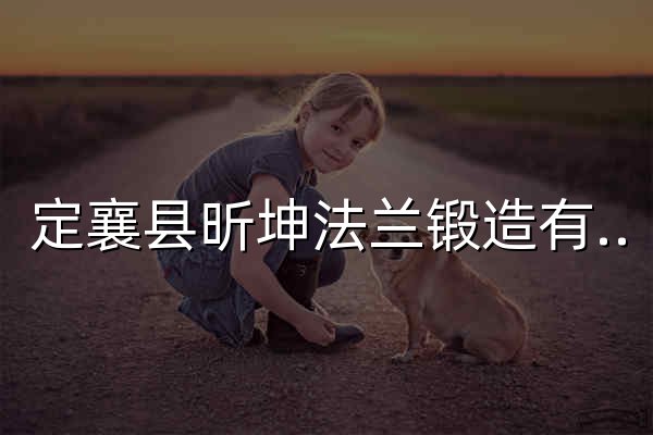 定襄县昕坤法兰锻造有限公司 - 官网预览