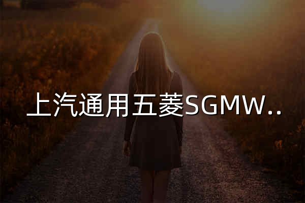 上汽通用五菱SGMW官网 - 人民需要什么，五菱就造什么！ - 官网预览