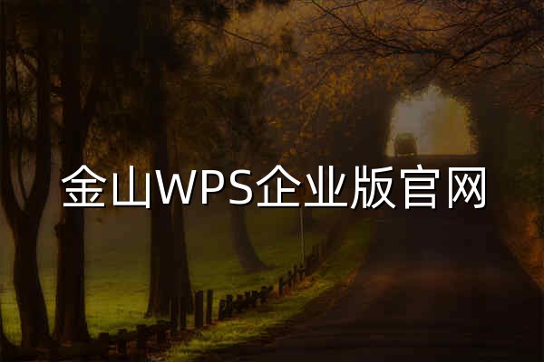 金山WPS企业版官网，WPS Office提供兼容、正版、适用OFFICE - 官网预览
