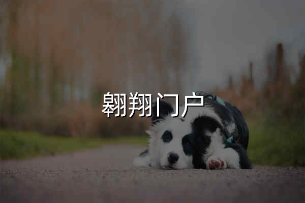 翱翔门户 - 官网预览